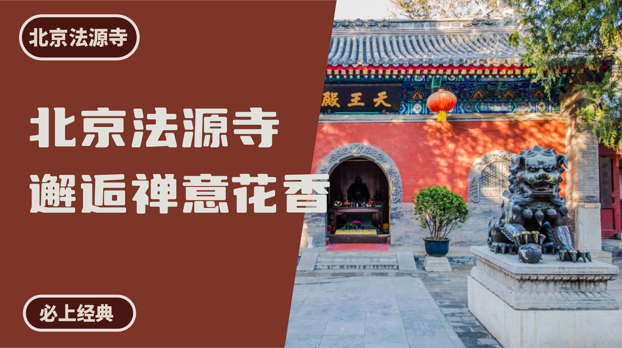 北京法源寺丨邂逅禅意花香