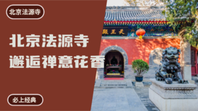 北京法源寺丨邂逅禅意花香