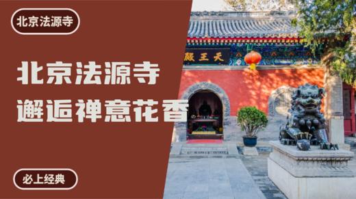 北京法源寺丨邂逅禅意花香 商品图0