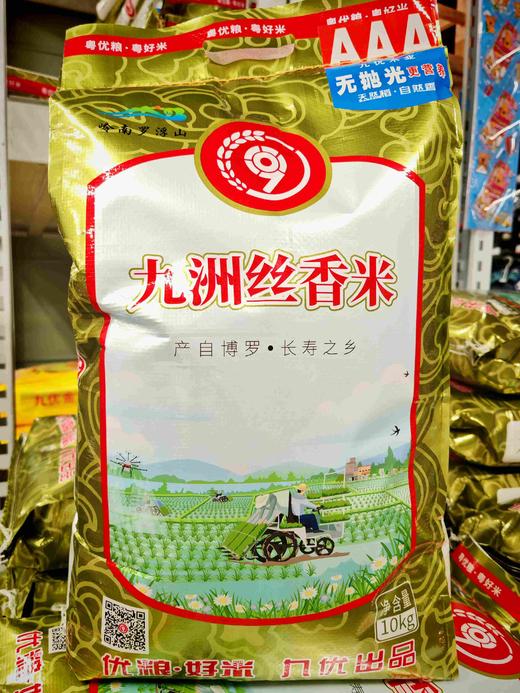 九洲丝香米20斤 商品图0