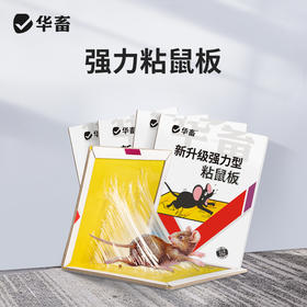 【积分兑换】粘鼠板