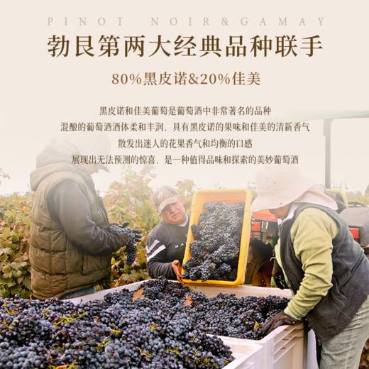 【延续百年的酿造世家】法国伊泊斯勃艮第干红葡萄酒  13%vol 商品图6