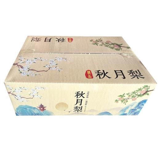 【山东秋月梨】 产地现摘现发新鲜到家  新鲜酥脆 清甜可口 皮薄多汁 秋冬当季滋补水果  送礼团购彩箱礼盒 商品图1