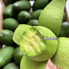 进口 牛油果  10个  天然奶油般的绵密口感 商品缩略图3