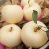 山东奶油富士苹果 | 甜如蜜糖，自带奶油香 商品缩略图4