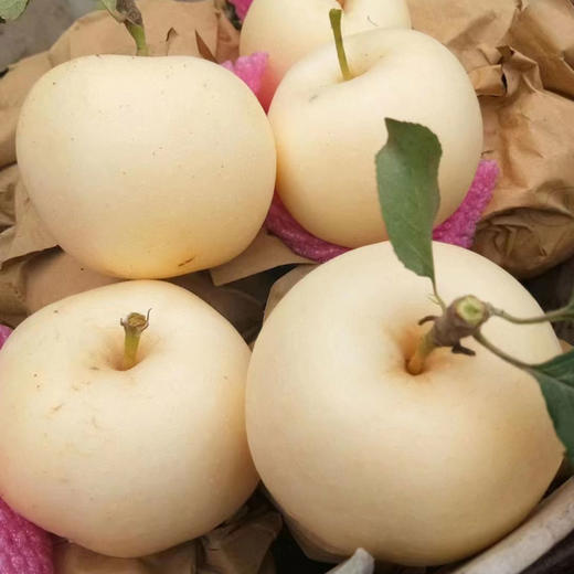 山东奶油富士苹果 | 甜如蜜糖，自带奶油香 商品图4