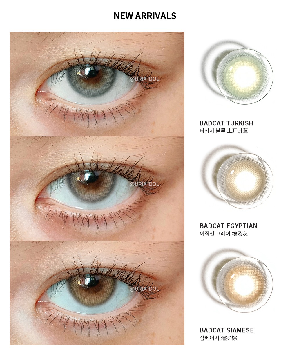 混血小直径新品BADCAT  年抛型