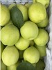 【生鲜预定】金花梨 商品缩略图0