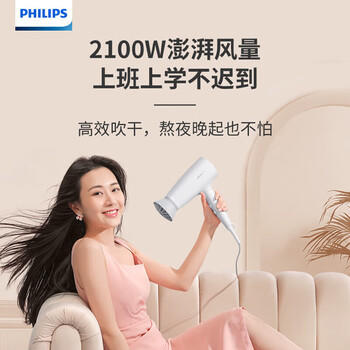 飞利浦（PHILIPS）吹风机电吹风筒大功率速干风筒 负离子护发2100W6档风控BHD356/45 /家用电器 /个护健康 /电吹风 商品图1