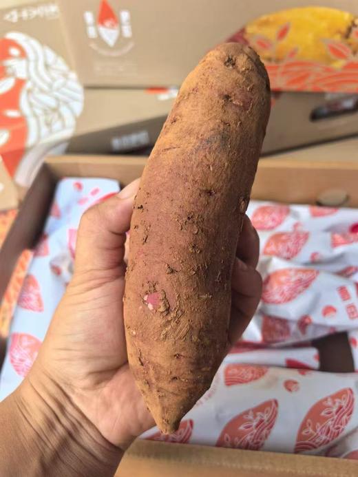 易鲜得美味蜜薯 口感似板栗 烤吃更美味  整箱5.3斤左右 商品图2
