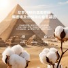 内野J-甄彩埃及长绒棉面巾 34*76cm 商品缩略图1