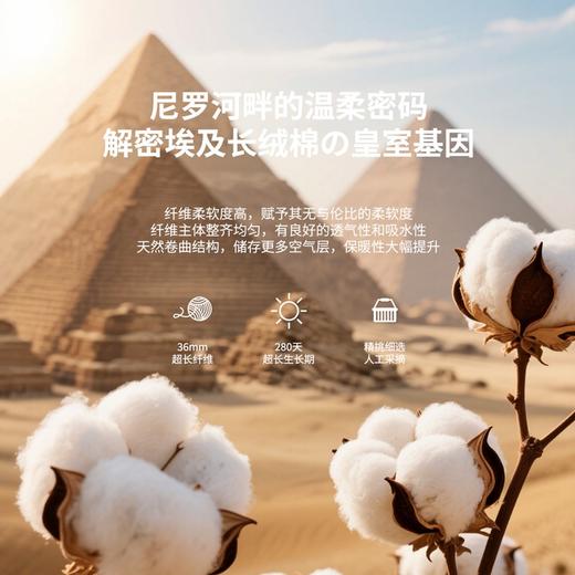 内野J-甄彩埃及长绒棉面巾 34*76cm 商品图1