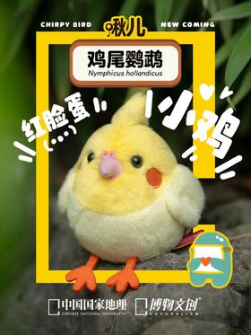 鸡尾鹦鹉？玄凤鹦鹉！！