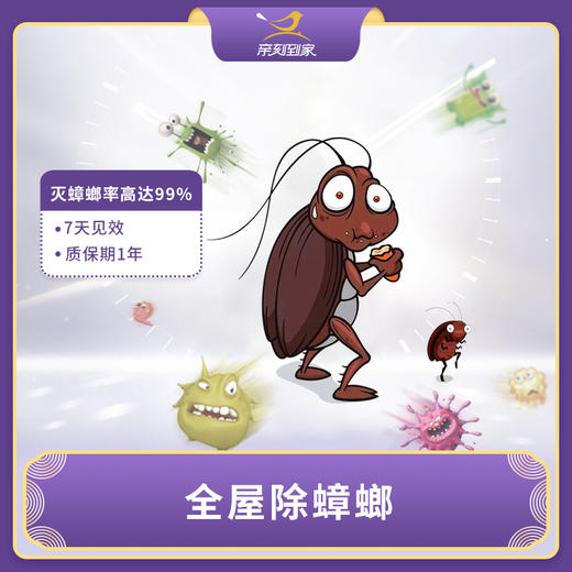 【怡家】【限广州】全屋蟑螂消杀-QK 商品图0