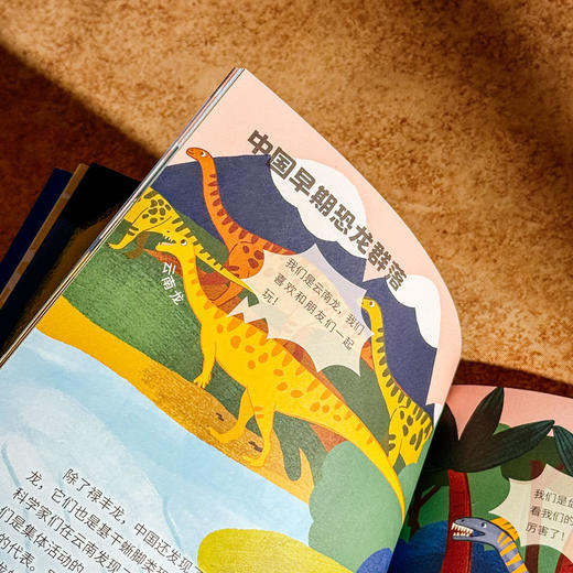 寻龙中国 附赠精美卡片 恐龙历史科普绘本 上海自然博物馆中国恐龙展 商品图8