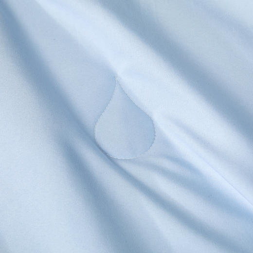 罗莱T 辽安青丝·丝锦A类抗菌蚕丝四季被 蓝色  200×230cm 商品图2