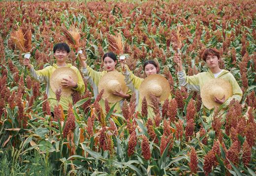 【微度假农场】采摘、田野小火车、萌宠互动、农夫拖拉机、森林儿童乐园，轻松遛娃一整天！ 商品图0