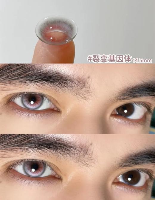 huohuocon 半年抛 裂变基因体 直径14.5mm着色13.8mm 商品图3