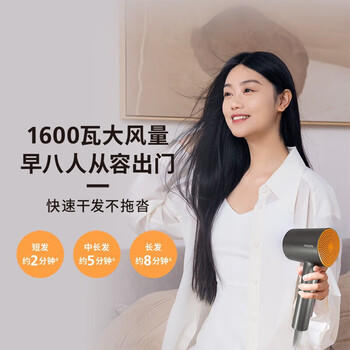 飞利浦电吹风机 家用大功率 负离子护发小巧便携送女友礼物 BHD321/05 /家用电器 /个护健康 /电吹风 商品图1