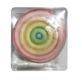 圣口乐 迷你彩虹慕斯蛋糕（四寸） 180g/盒