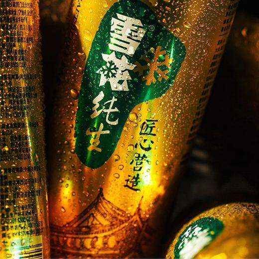 雪花纯生啤酒 500ml*12罐 （保质期到2025年12月1日，介意勿拍） 商品图2