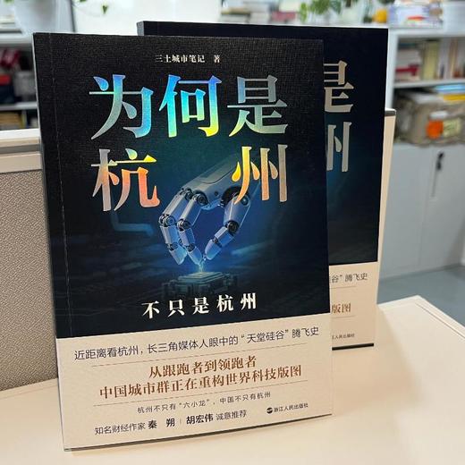 为何是杭州：不只是杭州 商品图2