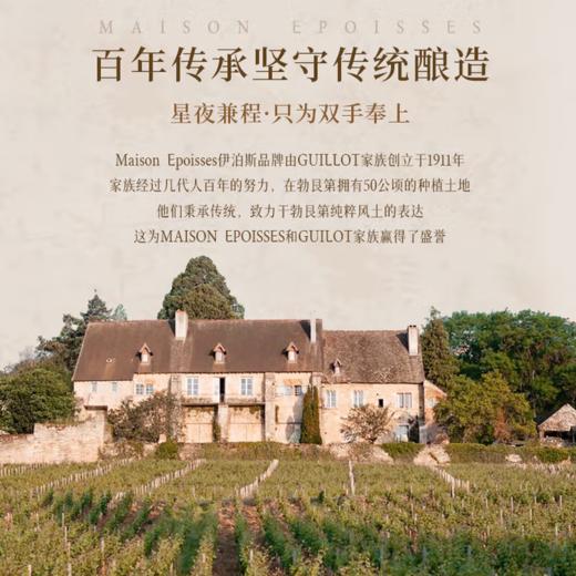 【延续百年的酿造世家】法国伊泊斯勃艮第干红葡萄酒  13%vol 商品图3