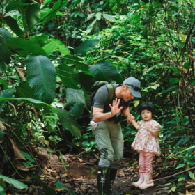 【西双版纳】游野象谷、住小熊猫庄园、穿越热带雨林，全程旅拍！