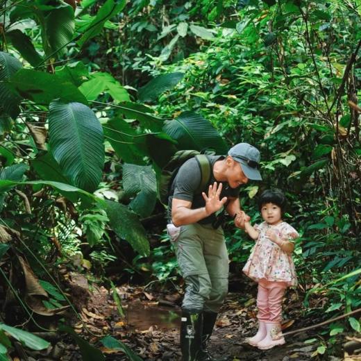 【西双版纳】游野象谷、住小熊猫庄园、穿越热带雨林，全程旅拍！ 商品图0