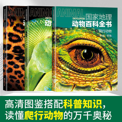 国家地理动物百科全书  世界动物学家献给青少年的科普巨著！原版引进！超大开本！ 商品图9