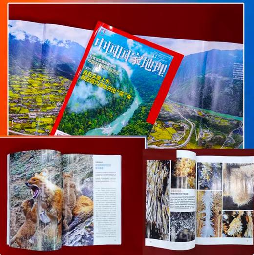 用科学与美学丈量世界，《中国国家地理》带你阅览山河万象！自然旅游地理知识人文景观期刊科普 商品图5