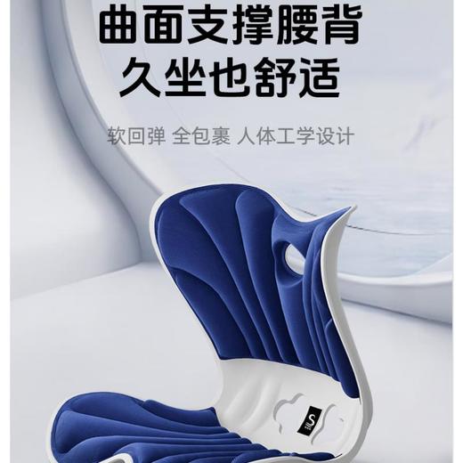 思菲其包裹小款坐垫 商品图1