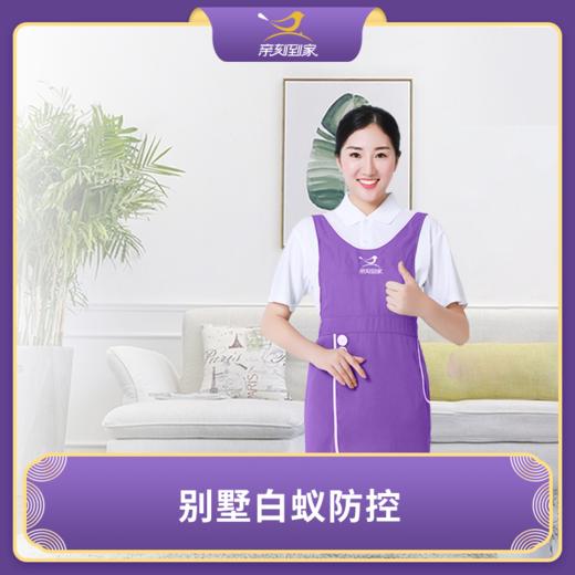 【怡家】【限广州】白蚁防控-QK 商品图0