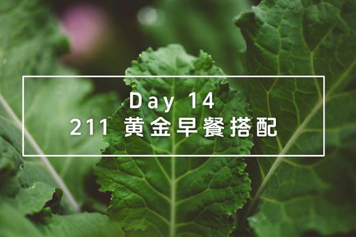 Day 14 211黄金早餐搭配 商品图0