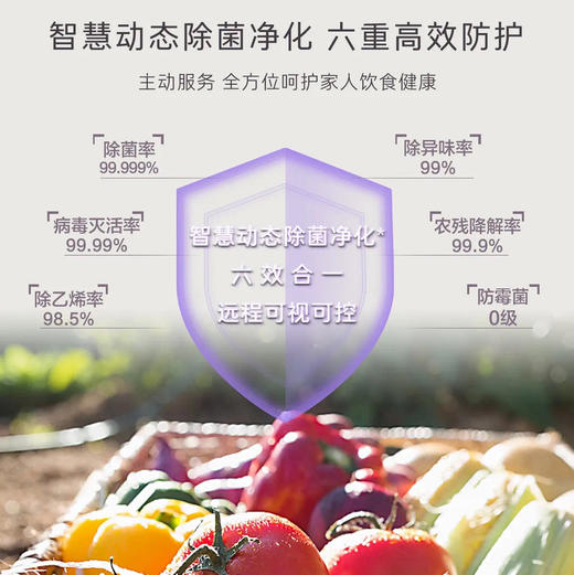 卡萨帝（Casarte）冰箱 BCD-703WGCSSM9CSU1 商品图9