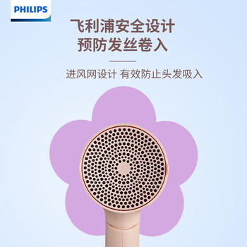 飞利浦（PHILIPS）吹风机电吹风筒大功率速干风筒 负离子护发2100W6档风控BHD356/45 /家用电器 /个护健康 /电吹风 商品图0