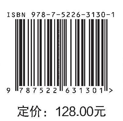 中巴经济走廊卡洛特水电站安全监测关键技术与实践 商品图2