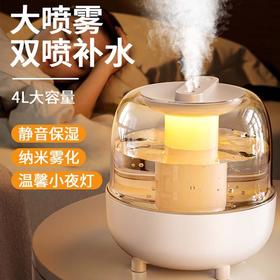 【氛围感拉满✨4L超大容量】新款氛围灯空气加湿器 桌面家用车载加湿器，复古绿加湿器🔥纳米雾化+暖心小夜灯🌙，静音补水一整天！桌面车载都能用，秋冬必备❤️
