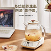 家用玻璃养生壶花茶壶多功能分体养生杯办公室小型炖煮烧水壶 商品缩略图1