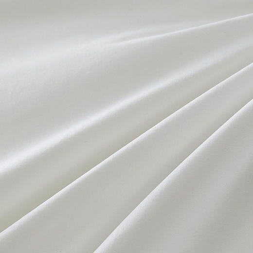 罗莱T 经典阻螨抗菌科技柔丝枕 47×73cm 商品图1
