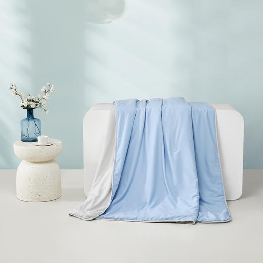 罗莱T 辽安青丝·丝锦A类抗菌蚕丝四季被 蓝色  200×230cm 商品图7