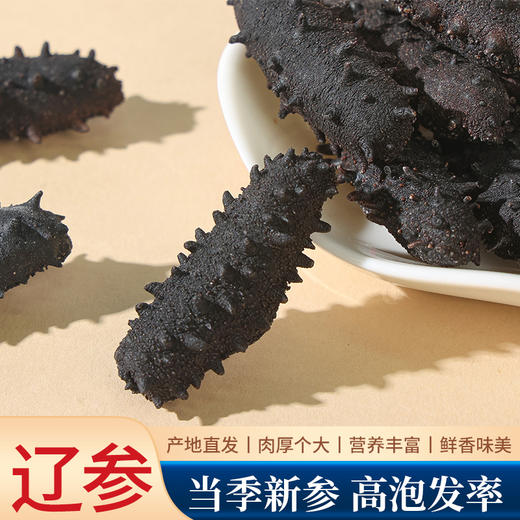 睿源堂大连淡干海参500g（121-150头） 商品图2