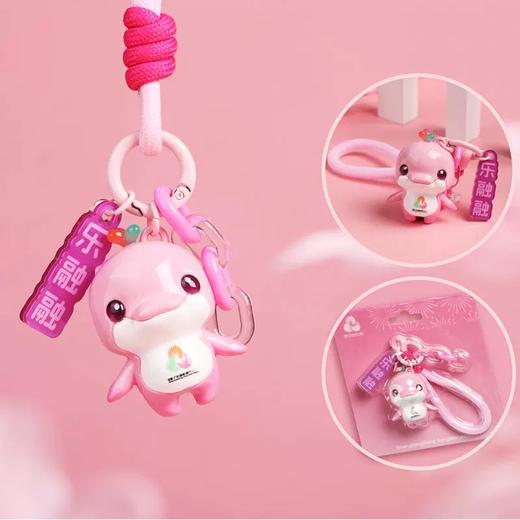 2025十五运会吉祥物立体饰扣 国潮礼品送 礼物 钥匙扣立体挂件 商品图4