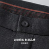 【远红外升温&抗静电】圣得西男士2025秋新款磨毛绒感直筒休闲裤 商品缩略图6