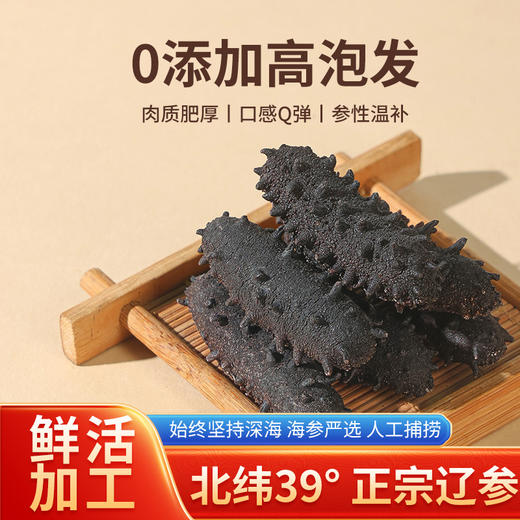 睿源堂大连淡干海参500g（121-150头） 商品图1