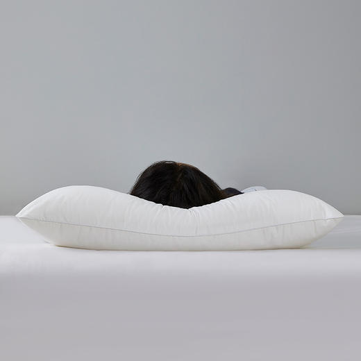 罗莱T 经典阻螨抗菌科技柔丝枕 47×73cm 商品图2