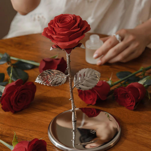 菜菜X呈白予人玫瑰非遗瓷花香薰|非遗手作！五星酒店香氛住进家 商品图2