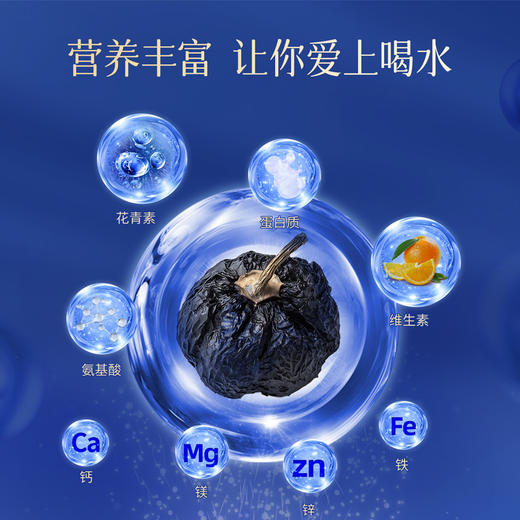 雷允上黑枸杞140g（35g*4瓶）/盒 商品图4