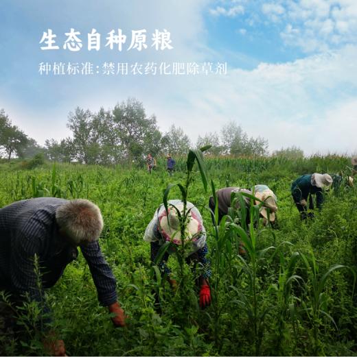 谦益小米陈醋120ml/430ml 山西地道工艺生态纯酿 拒绝添加勾兑 酸爽醇香   蘸料 佐餐调味 商品图6