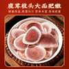 蔡府 有元气150g 商品缩略图9